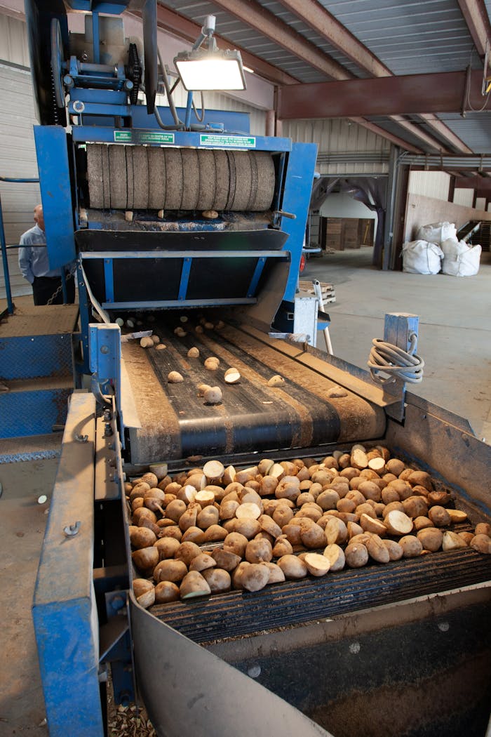 services-01 Close-up of an industrial machine processing potatoes in a factory setting.